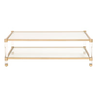 Novel Brass & Lucite Coffee Table