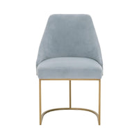 Patricia Coastal Velvet Dining Chair, Set of 2