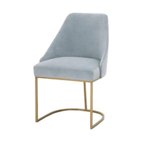 Patricia Coastal Velvet Dining Chair, Set of 2
