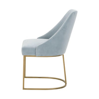 Patricia Coastal Velvet Dining Chair, Set of 2