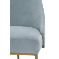 Patricia Coastal Velvet Dining Chair, Set of 2