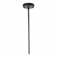 Andromeda Pendant Light