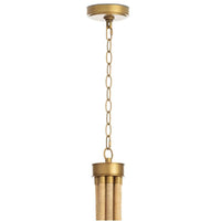 Coastal Living Treble Chandelier