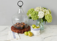 Large Cloche Food Cover, Black Ring Handle