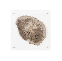 Floating Petrified Slice Wall Art