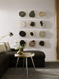 Floating Petrified Slice Wall Art