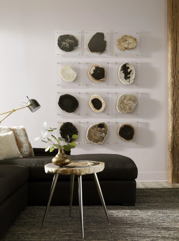 Floating Petrified Slice Wall Art