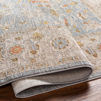 Avant Garde Blue & Light Beige Rug