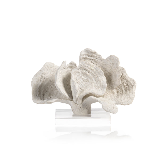 Kali Coral Sculpture on Acrylic Base, White