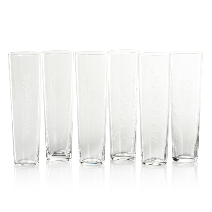 Set of six clear glass tumblers on a white background