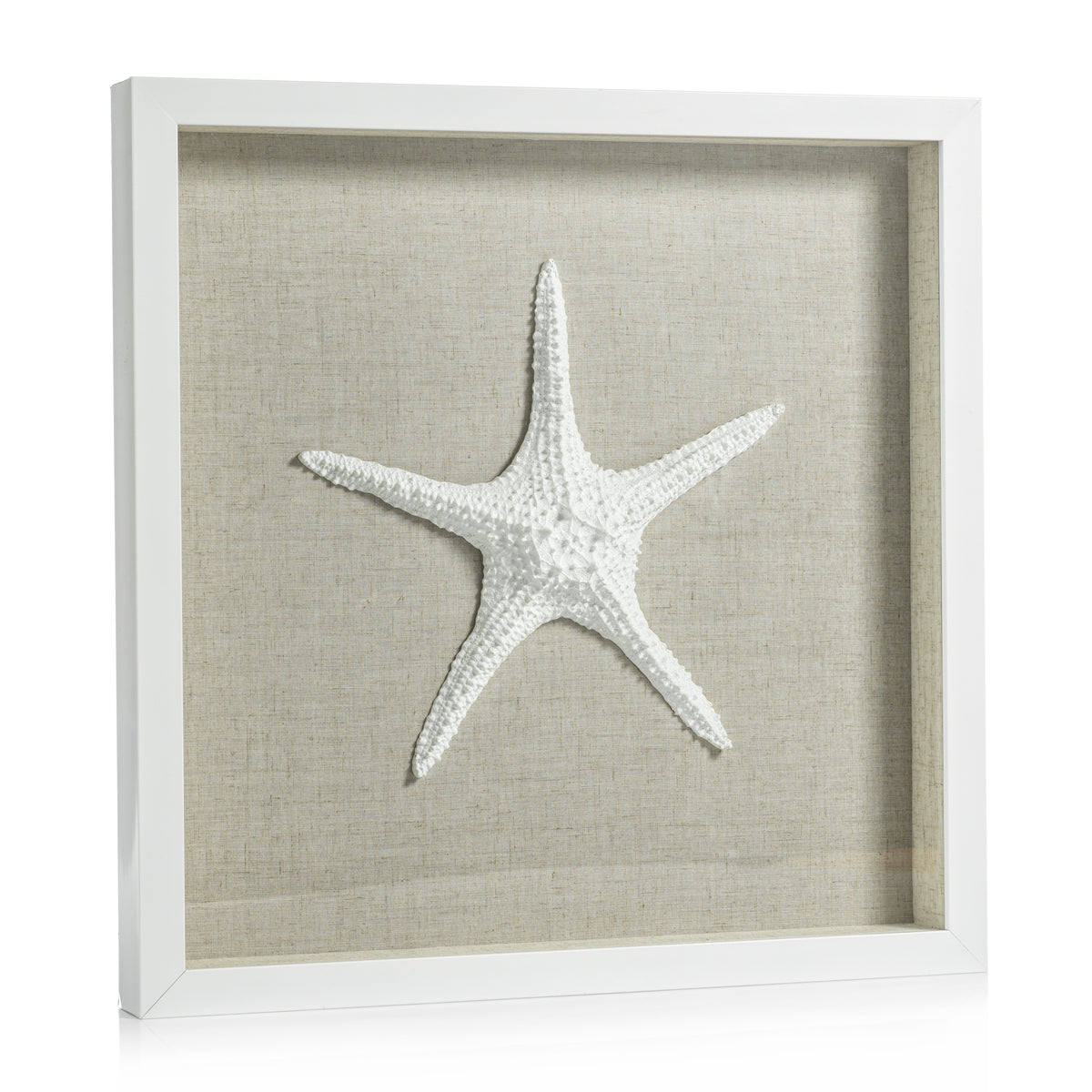 Arlo White Framed Starfish Wall Décor