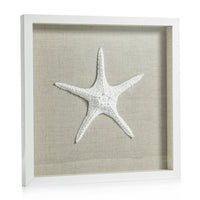 Arlo White Framed Starfish Wall Décor
