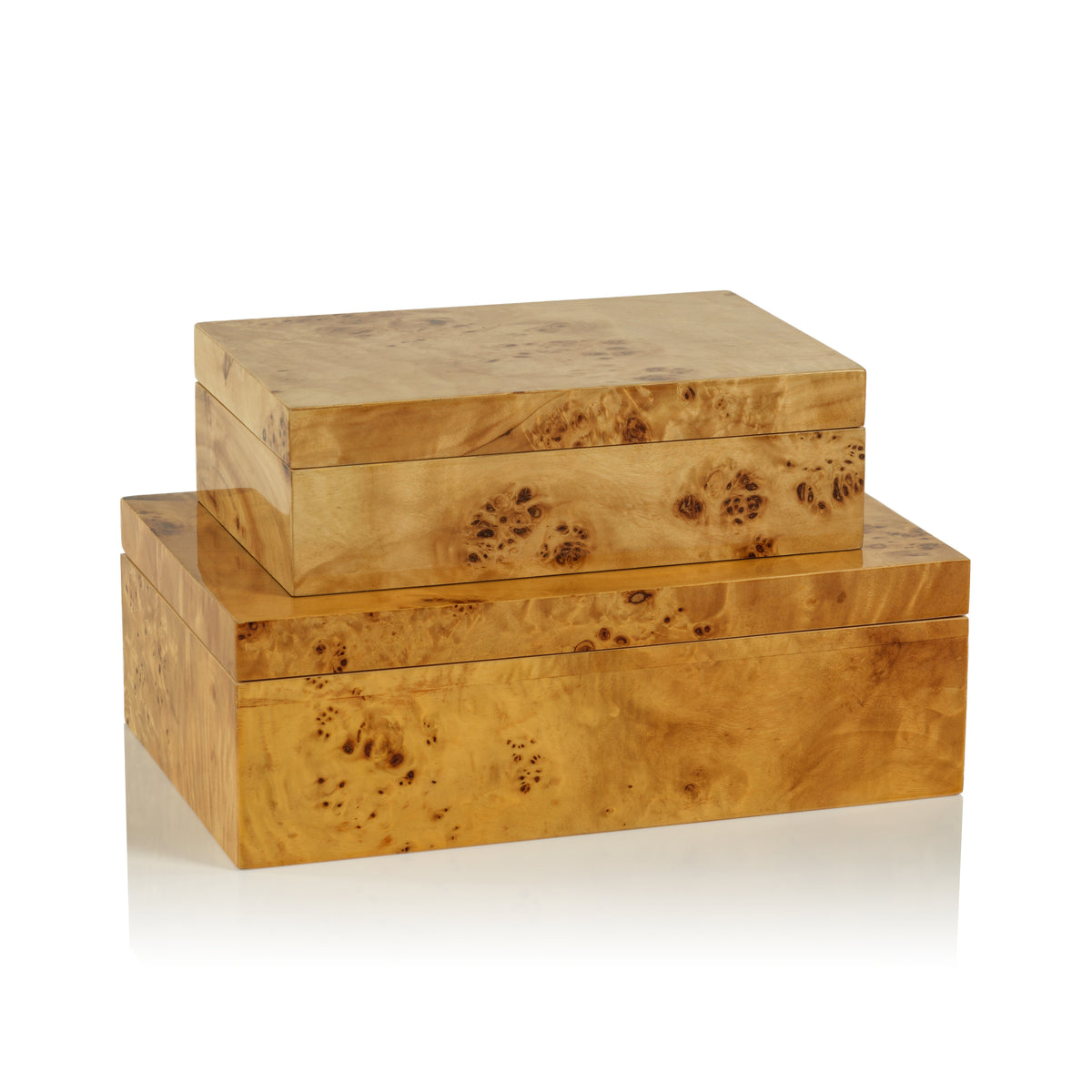 Leiden Burl Wood Decorative Box, Small