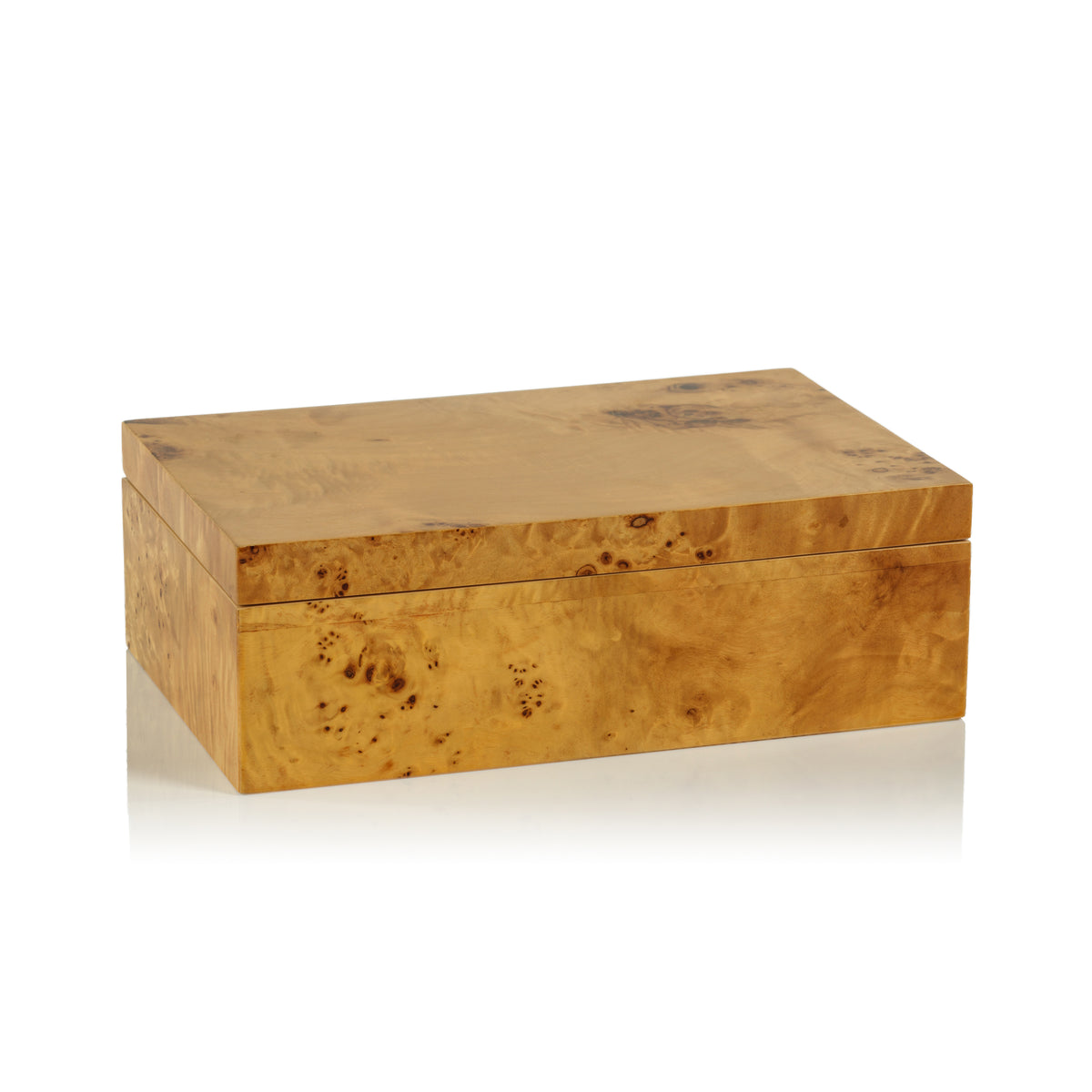 Leiden Burl Wood Decorative Box, Large