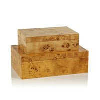 Leiden Burl Wood Decorative Box, Large